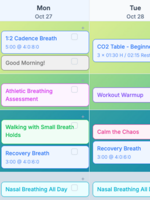 Spire Activity Calendar
